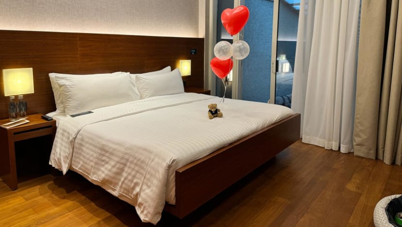 Pet-Friendly Hotel Review: My Dog Checked In To Oasia Resort Sentosa For A Staycation. Here's How It Went