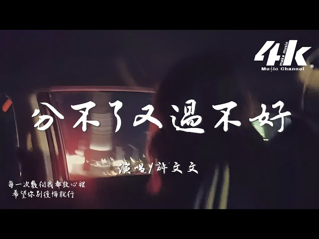 许文文 - 分不了又过不好『我和你分又分不了过也过不好，我的青春慢慢被你消耗。』【高音质|动态歌词Lyrics】♫