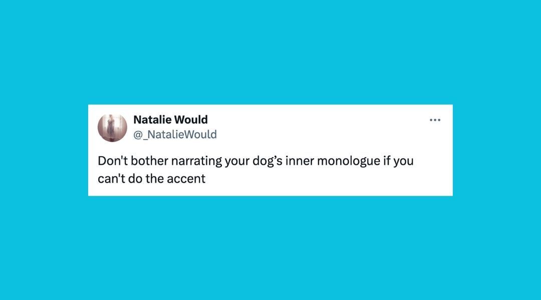 22 Of the funniest tweets about cats and dogs this week (aug. 17-23)