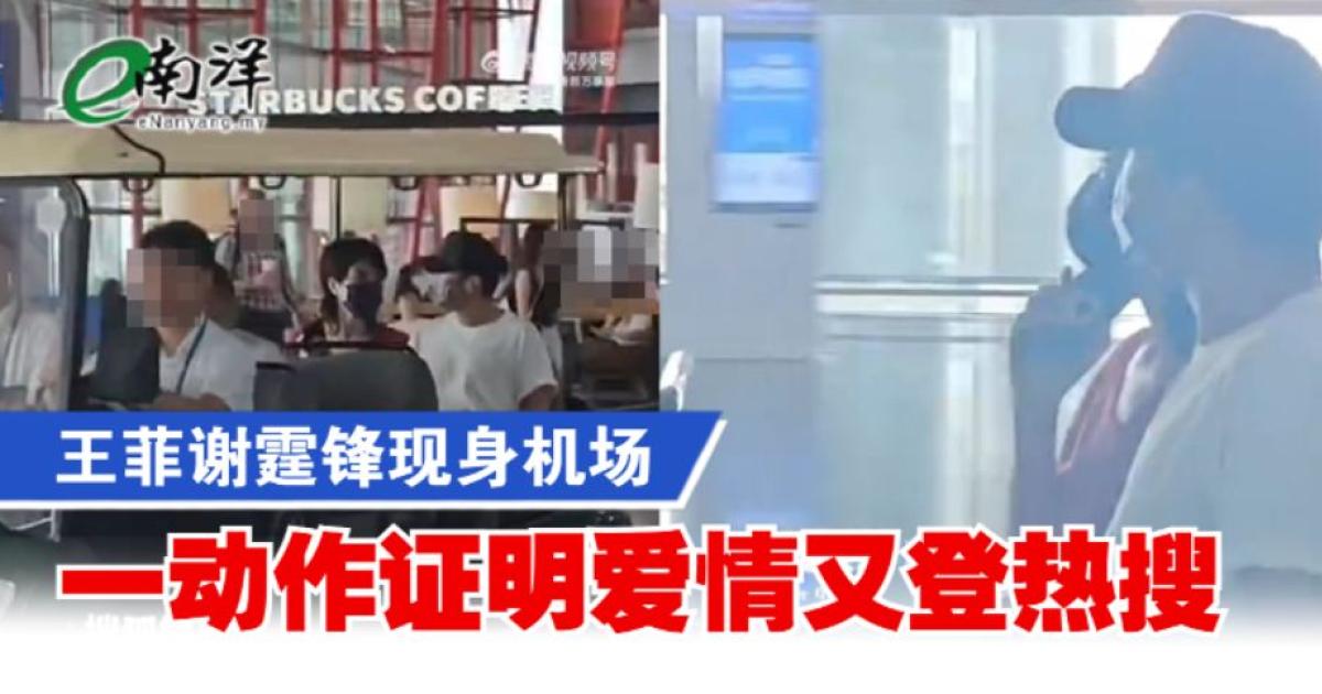王菲谢霆锋现身机场 一动作证明爱情又登热搜