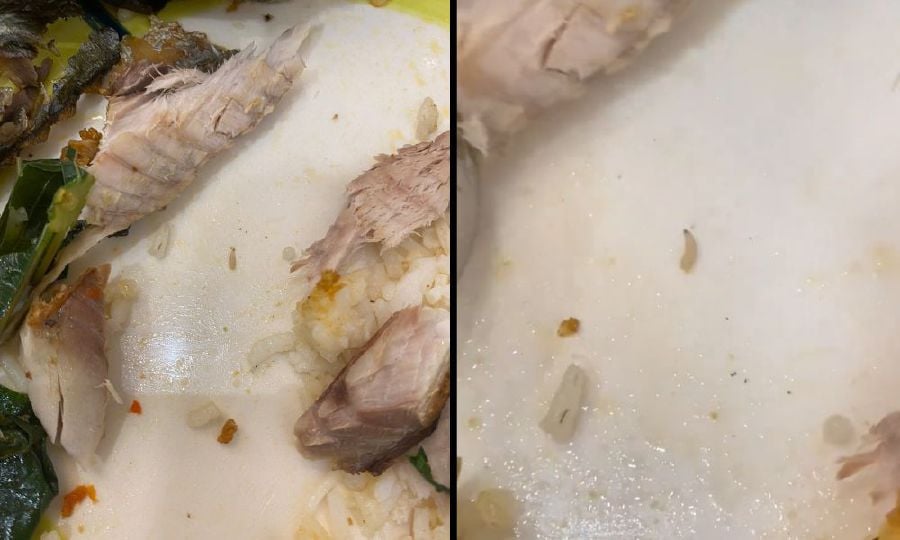 Disgust and anger after woman finds maggot in meal