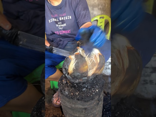 Famous Grilled Sweet Coconut In Thailand