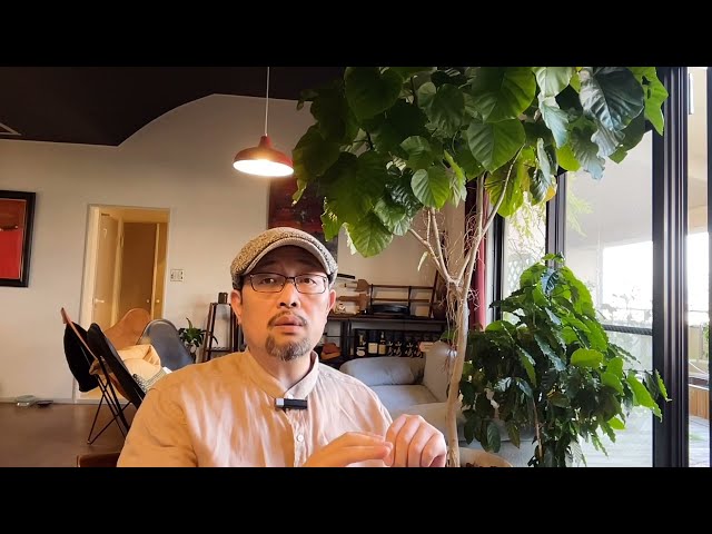 闲聊：什么叫做“中国特色金融文化”，以及胎教肄业的圣上是如何看金融业的；大挖运河未来必然遗祸子孙