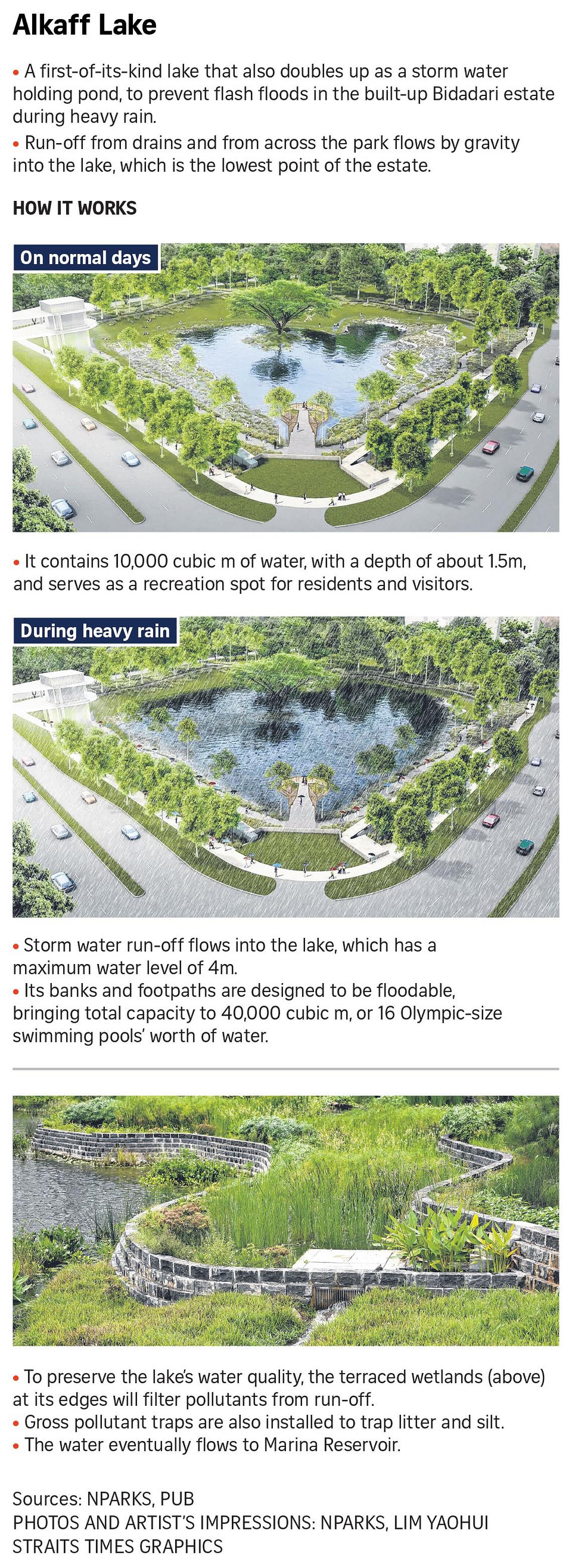 New Hundred Acre Wood-inspired park in Bidadari has a freshwater lake that can prevent flash floods