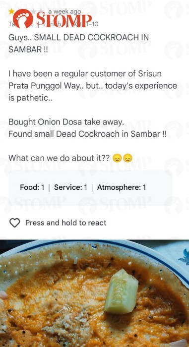 Diner feels like vomiting every time he recalls finding cockroach in dosa from Punggol stall