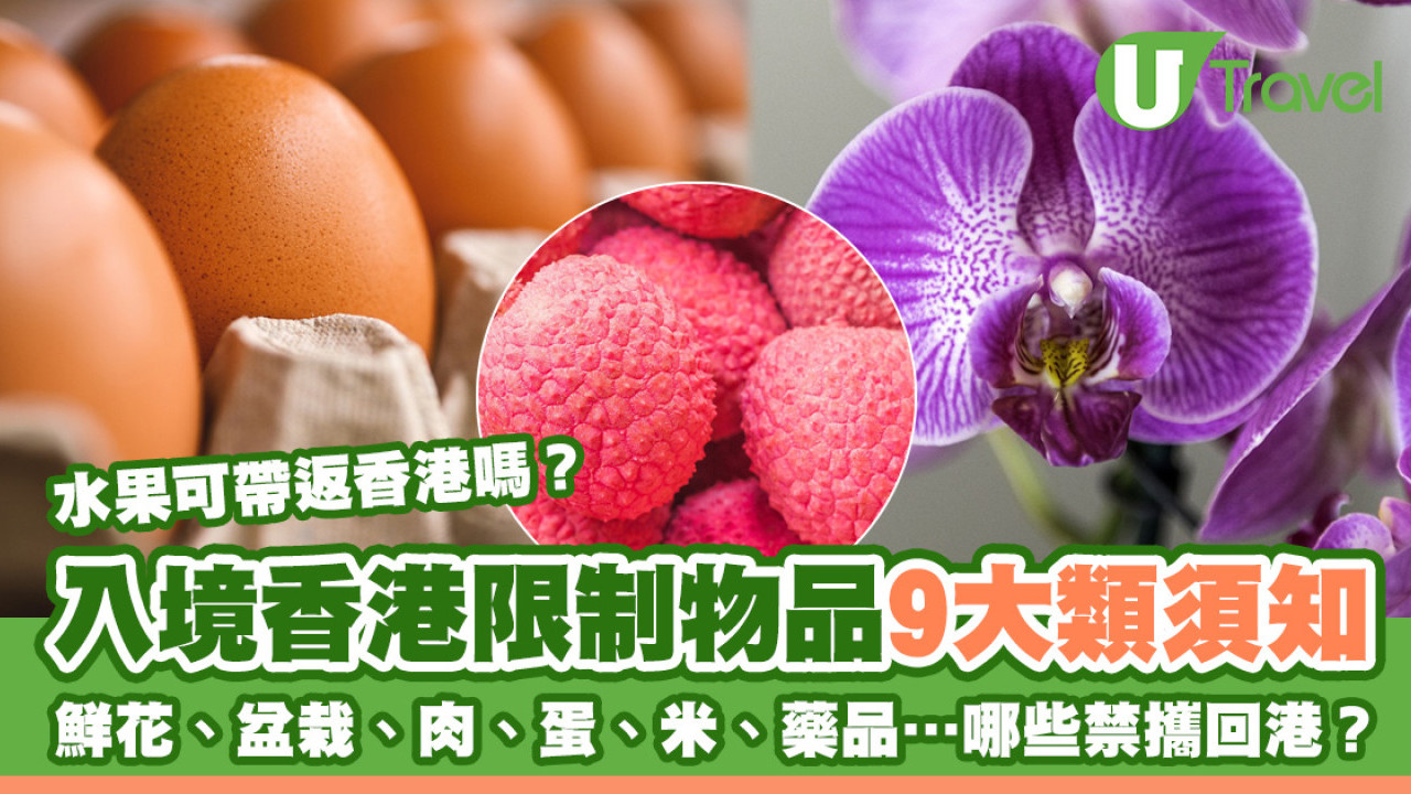入境香港限制物品｜受管制植物鲜花/食物等禁携返港！水果可带入香港？