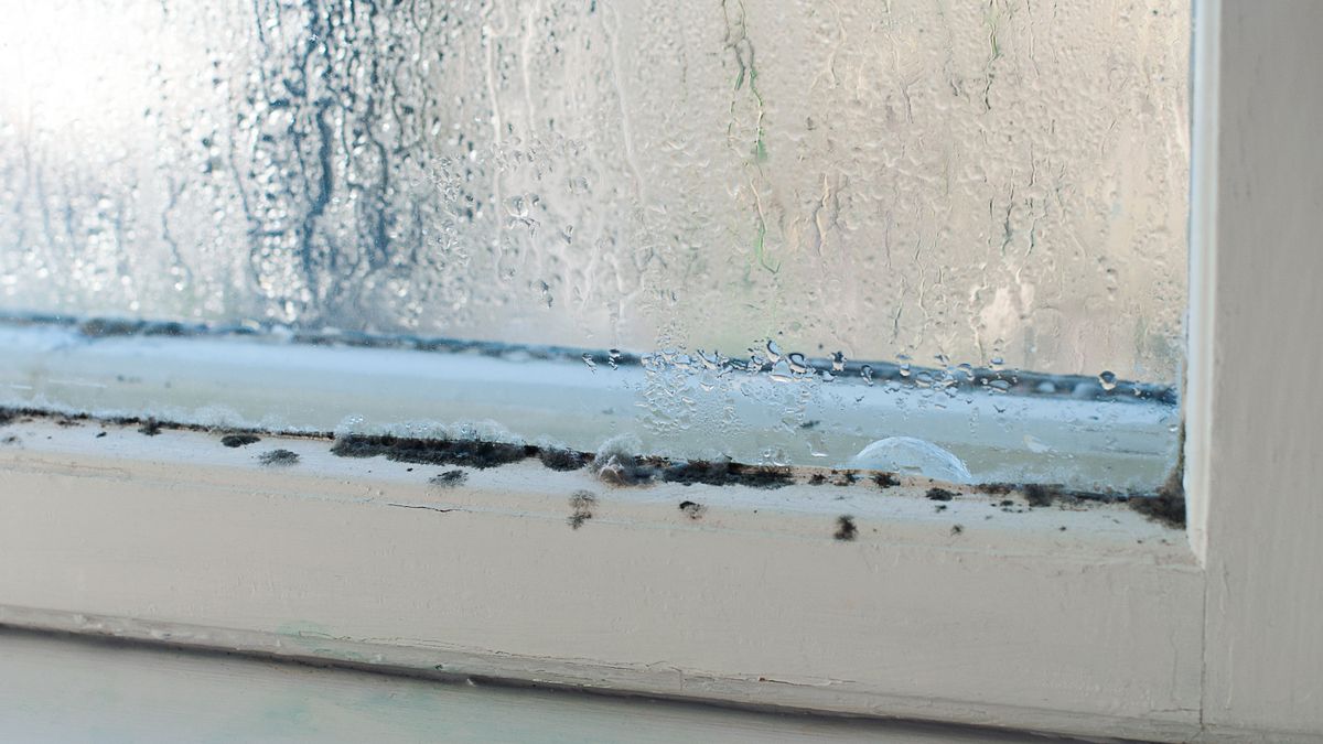 Easy hack gets rid of condensation in just minutes using simple trick