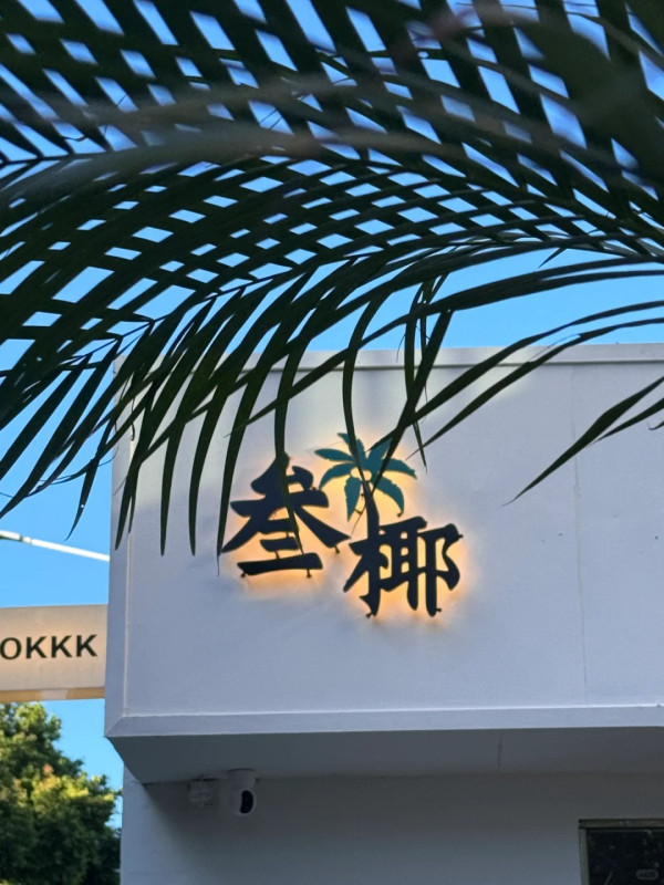 【深圳猫cafe】全场100只猫超壮观！深圳动物cafe 6大推荐、柴犬cafe近罗湖口岸