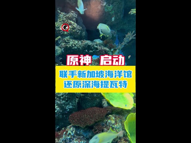 原神与S·E·A海洋馆联合呈现提瓦特深海探访活动！原神玩家可以冲一波了