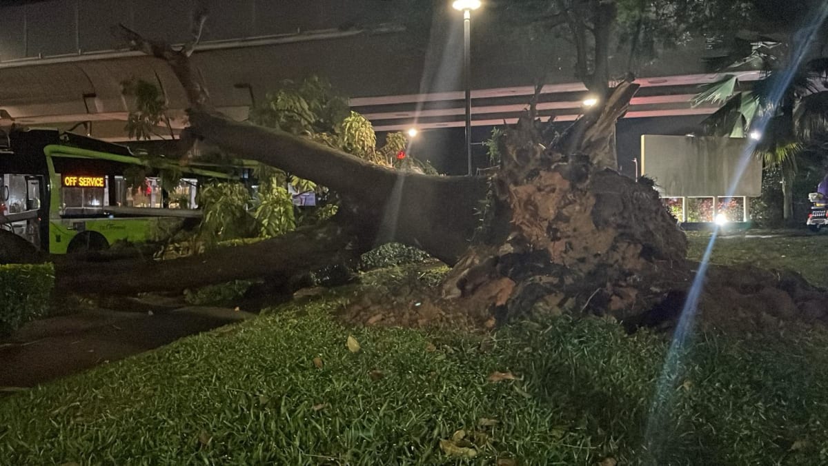 CNA Explains: What is a Sumatra squall and did it bring a sudden storm to Singapore?