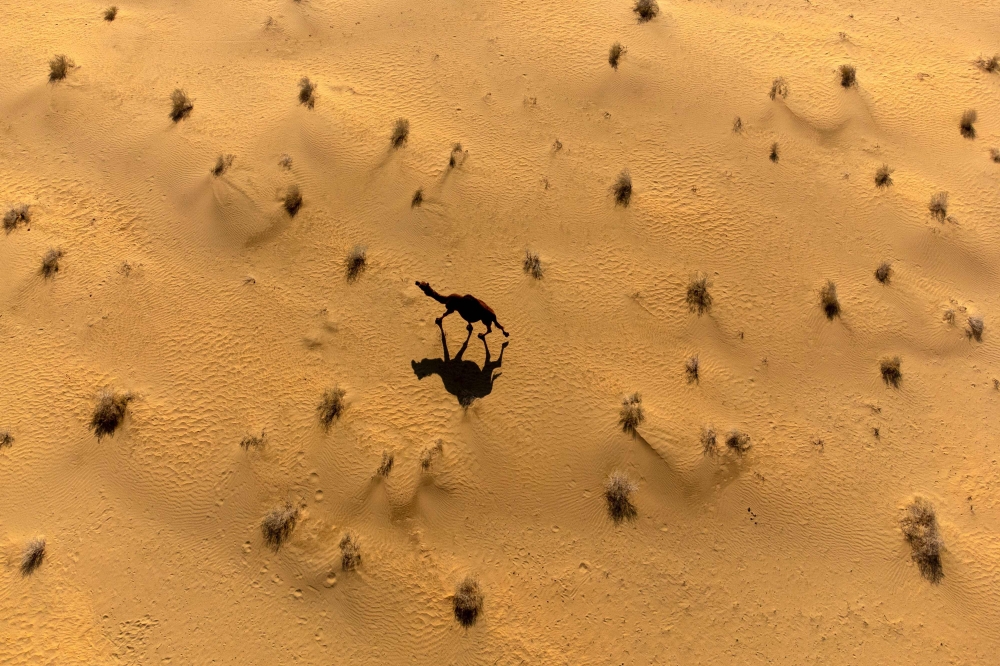 Christopher Nolan under fire over Western Sahara shoot in film starring Matt Damon and Zendaya