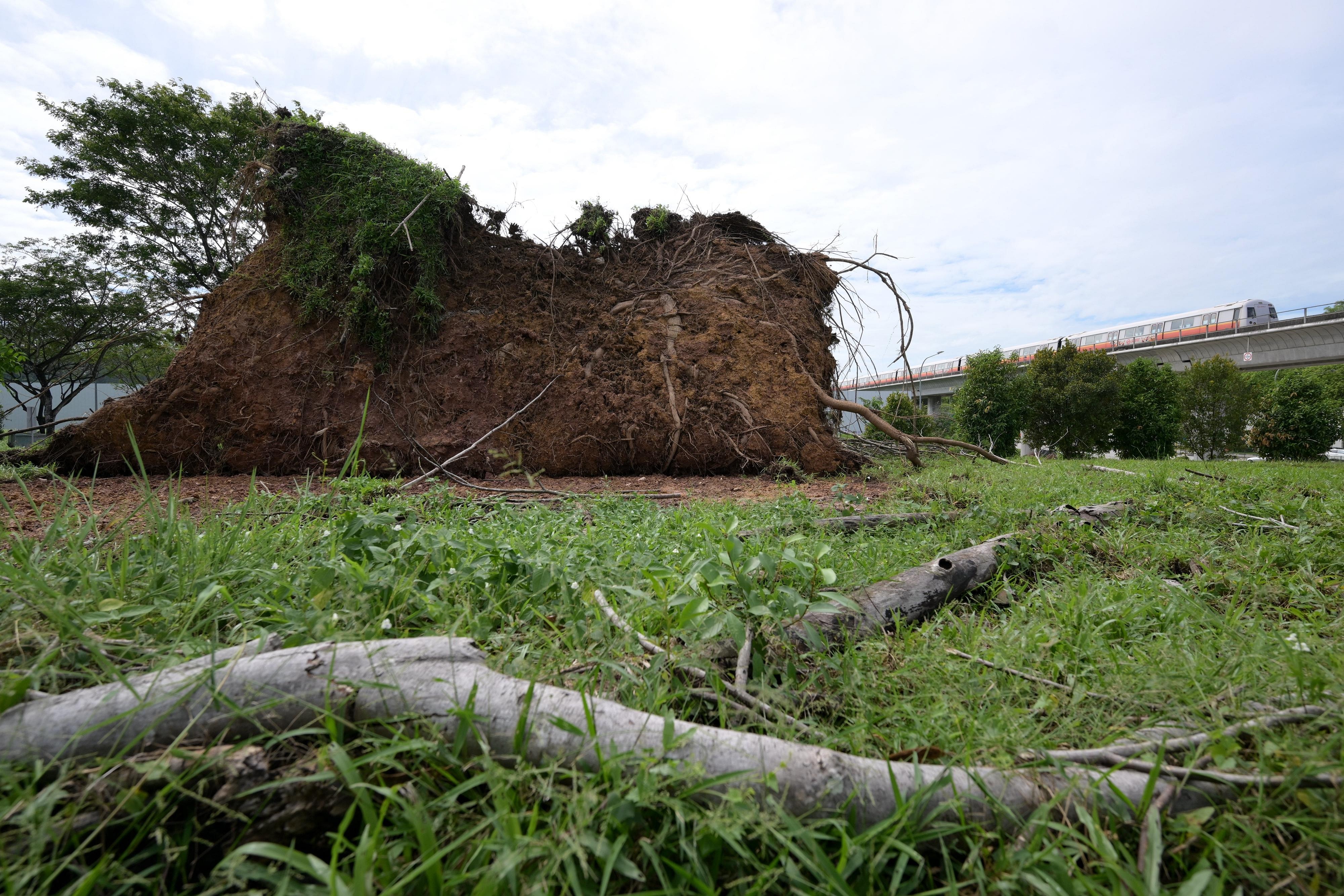 ST Explains: What’s a Sumatra Squall?