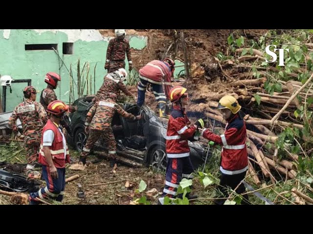 2 Chinese tourists die after tree fell onto vehicles in Penang