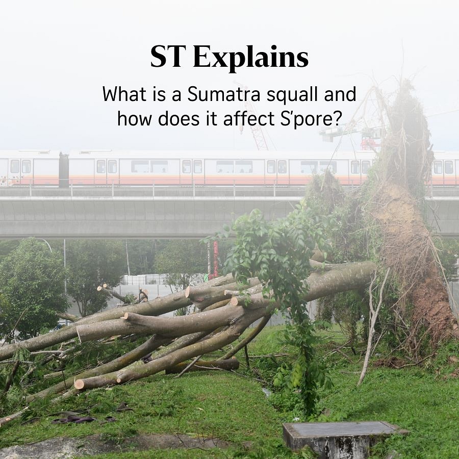 ST Explains: What’s a Sumatra squall, and how does it affect S’pore’s weather?
