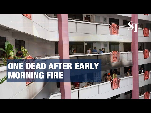 One dead after early morning fire at Choa Chu Kang Crescent