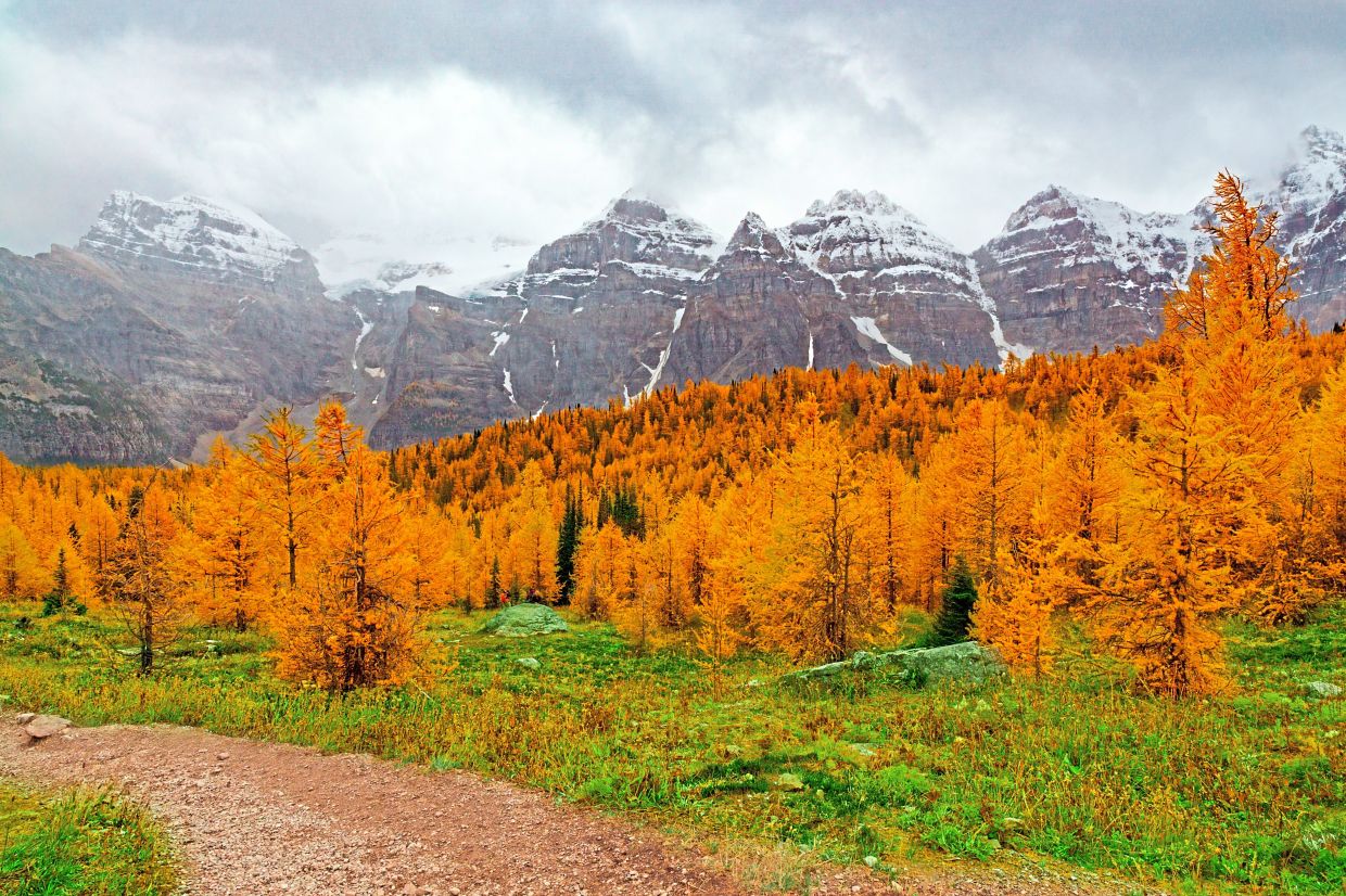 5 national parks around the world to experience magnificent autumn foliage