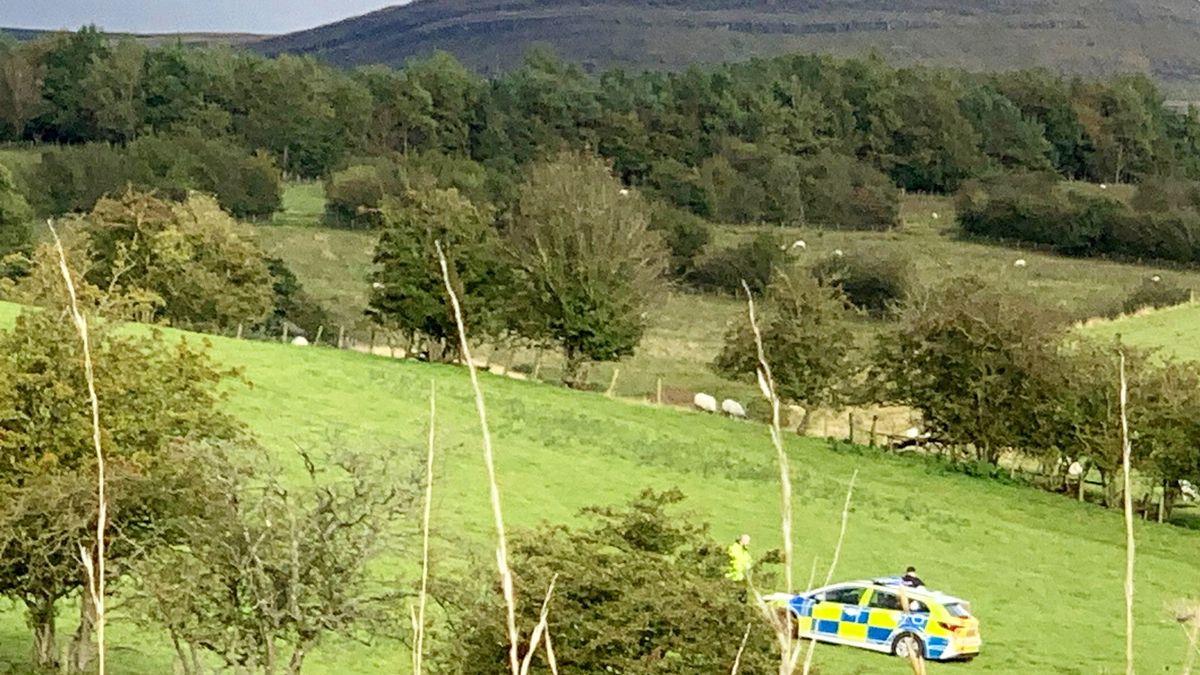 Cumbria shooting: Boy, 8, fatally shot in head 'was hunting for rabbits' on farm