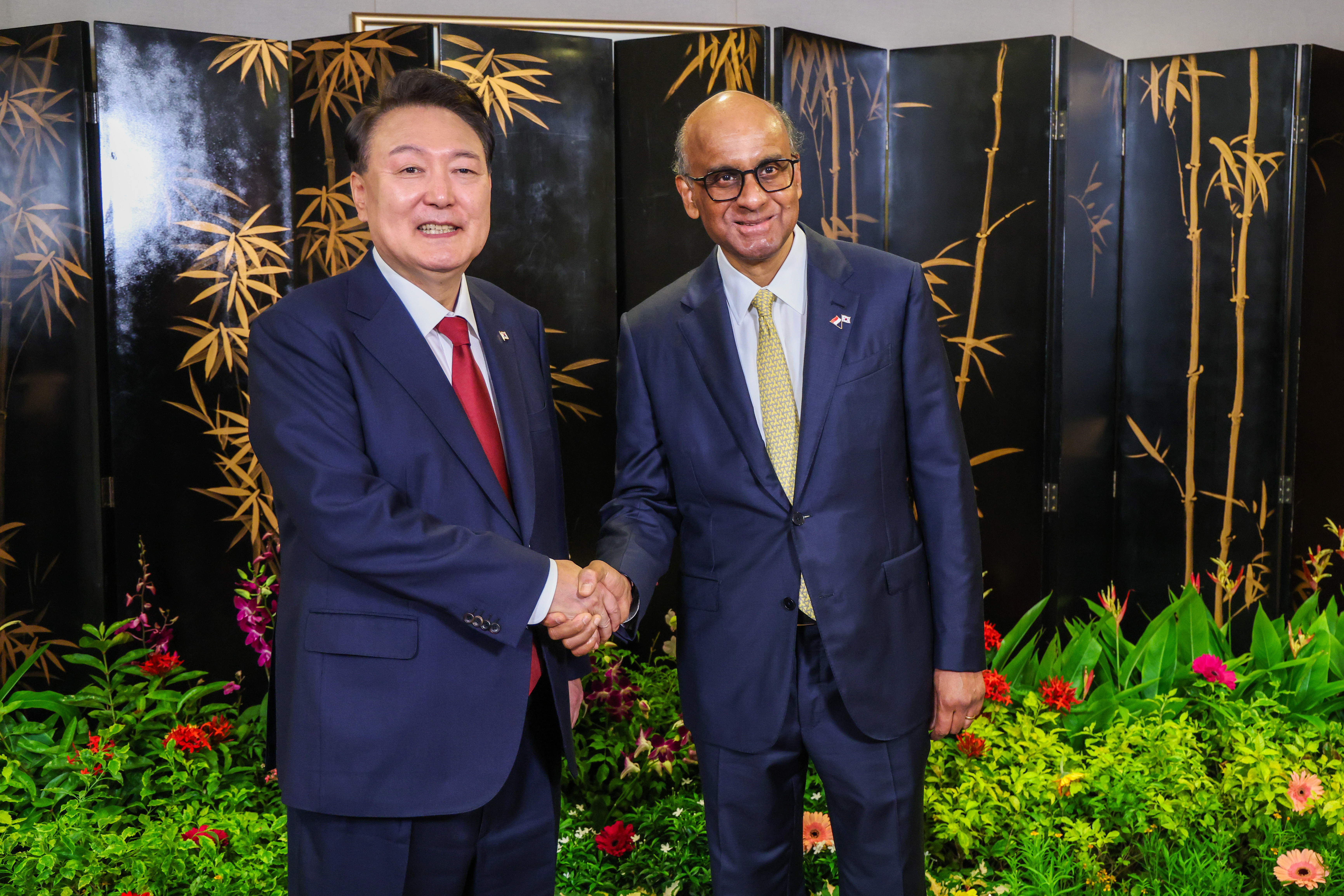 ‘More substantial cooperation’: S’pore, S. Korea to work towards upgrading ties to strategic partnership