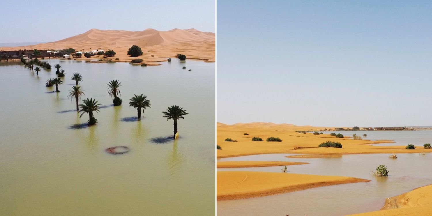 Sahara desert flooded after heavy storm, lake filled after being dry for 50 years