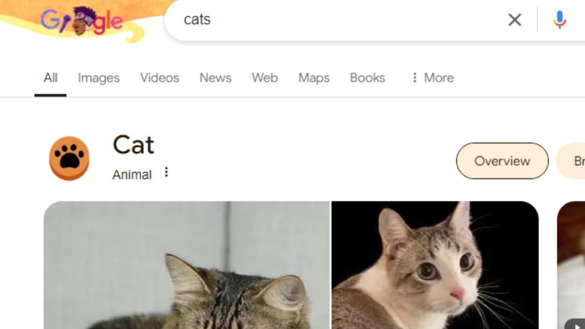Google hides 'adorable' Easter egg for users searching for cats and dogs