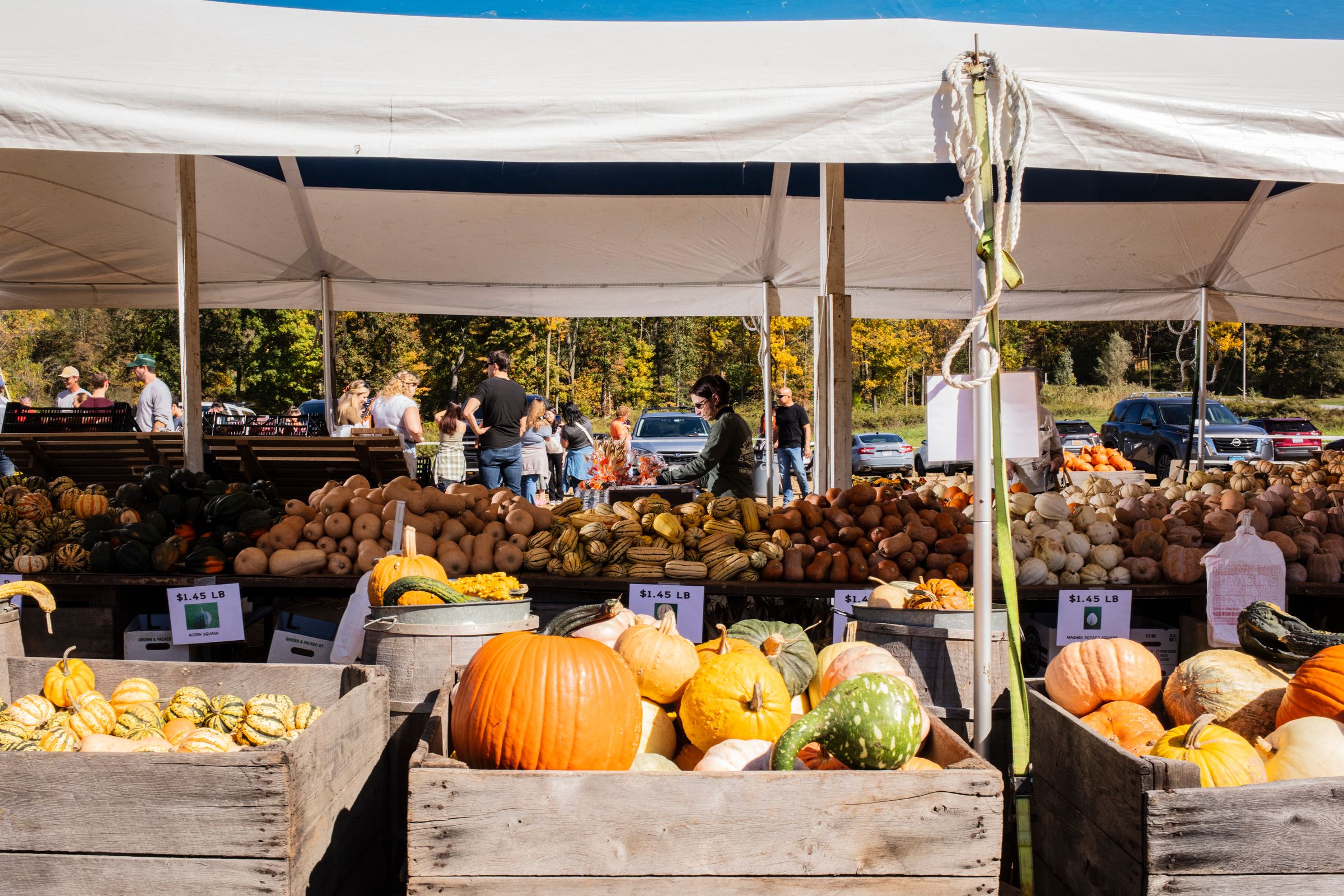 Scaring Halloween Trick-or-Treaters Is Free. But This Pumpkin? $13.50.