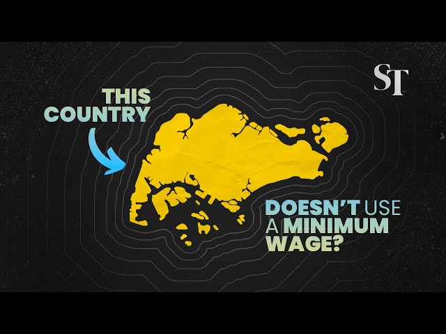 The Progressive Wage Model: Singapore's answer to minimum wages