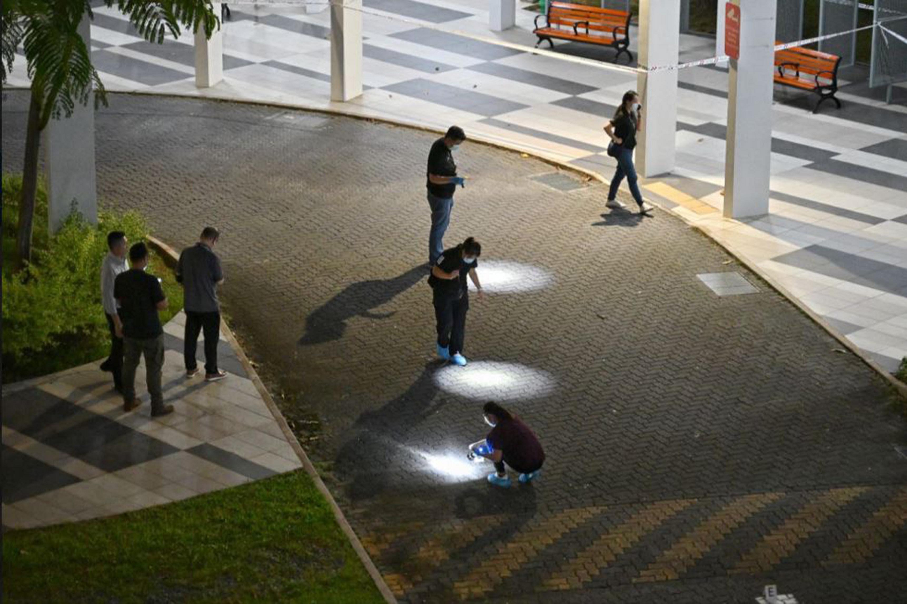 Fatal Clementi stabbing: Man, 50, charged with murdering grassroots volunteer
