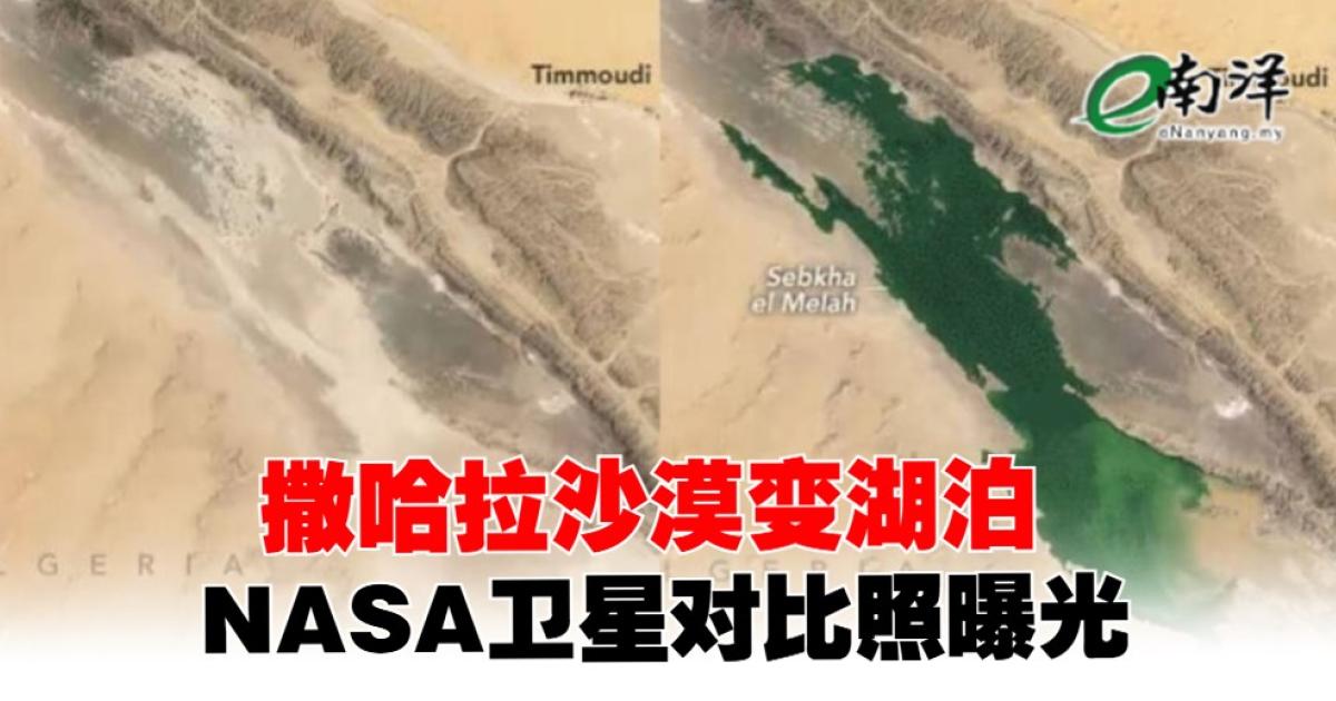 撒哈拉沙漠变湖泊 NASA卫星对比照曝光