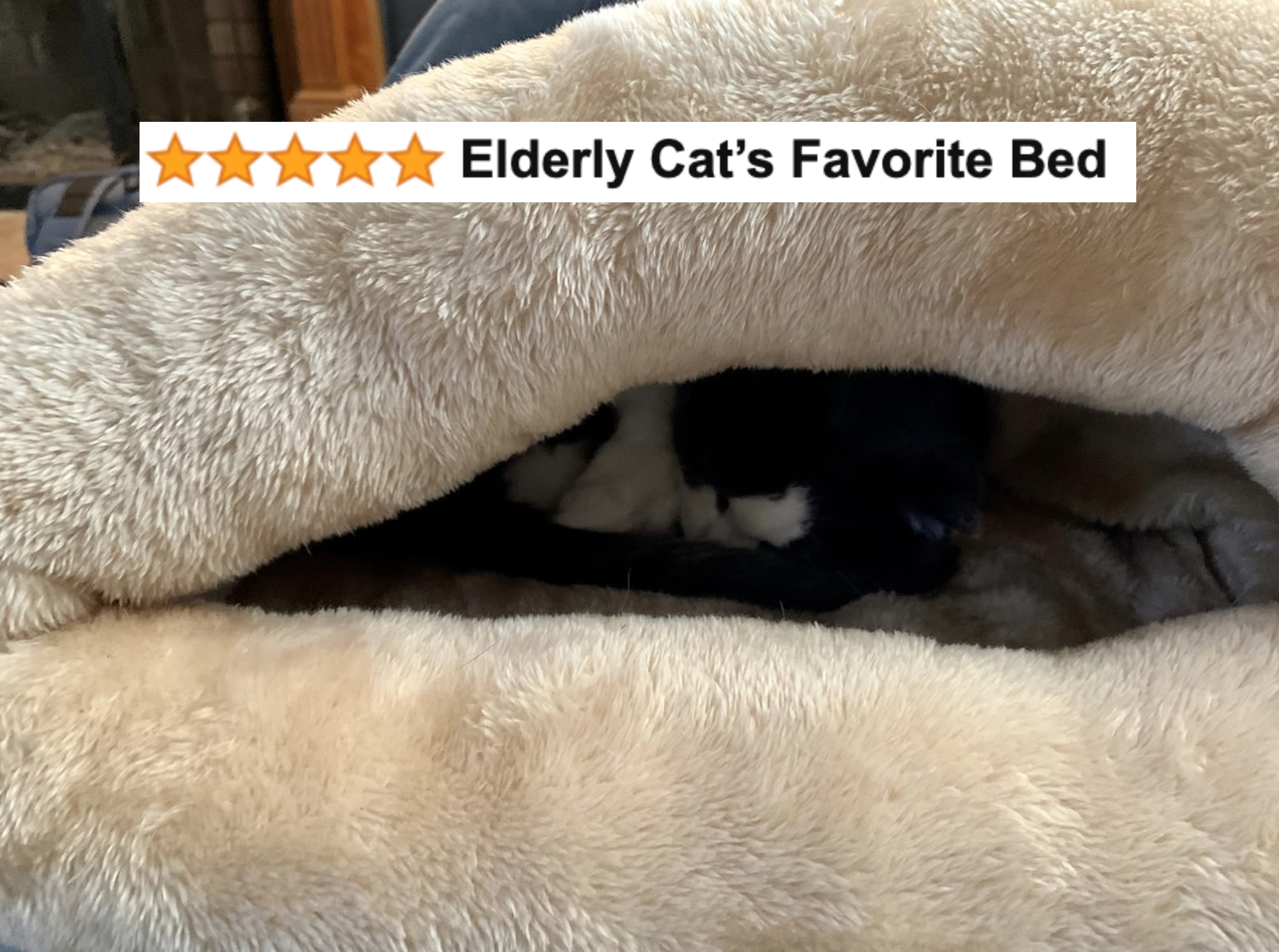 If Your Cat Is The Center Of Your Universe, These 27 Pet Products Will Earn You Infinite Cuddles