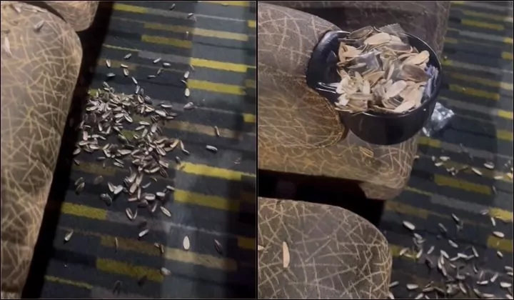 [Watch] Cinemagoer Pities Cleaners Who Have To Clean All Kuaci Shells On Carpeted Floor