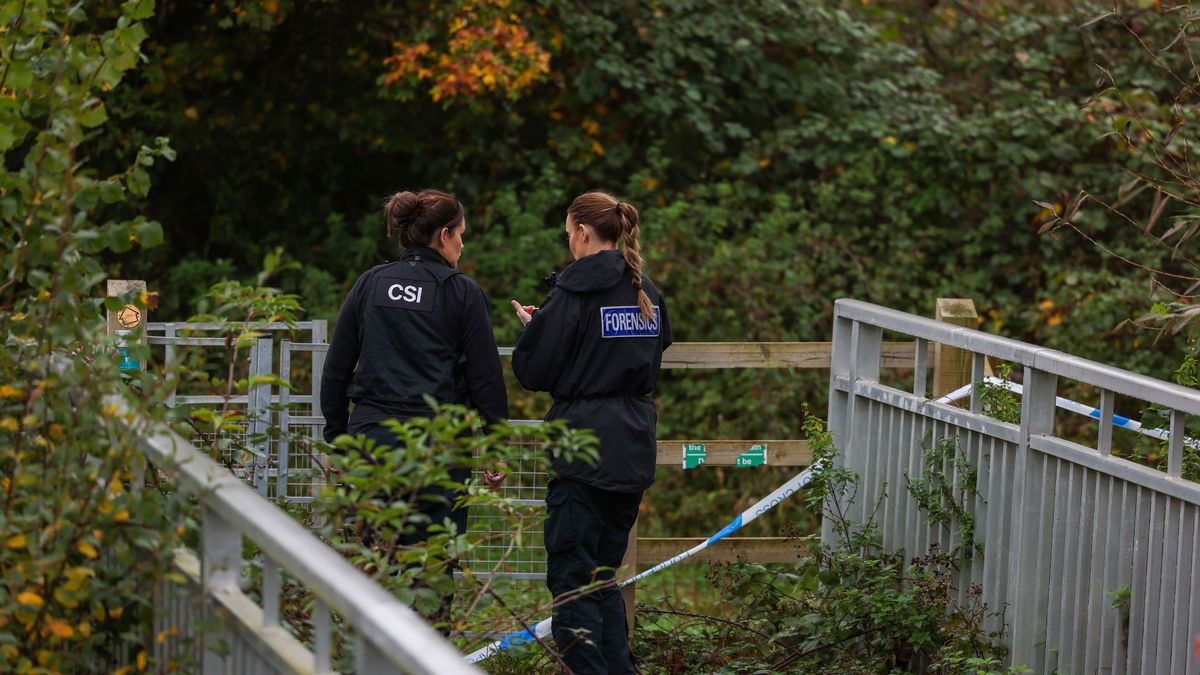 'Human remains' found in Bristol field next to quiet cul-de-sac as emergency crews rush to scene