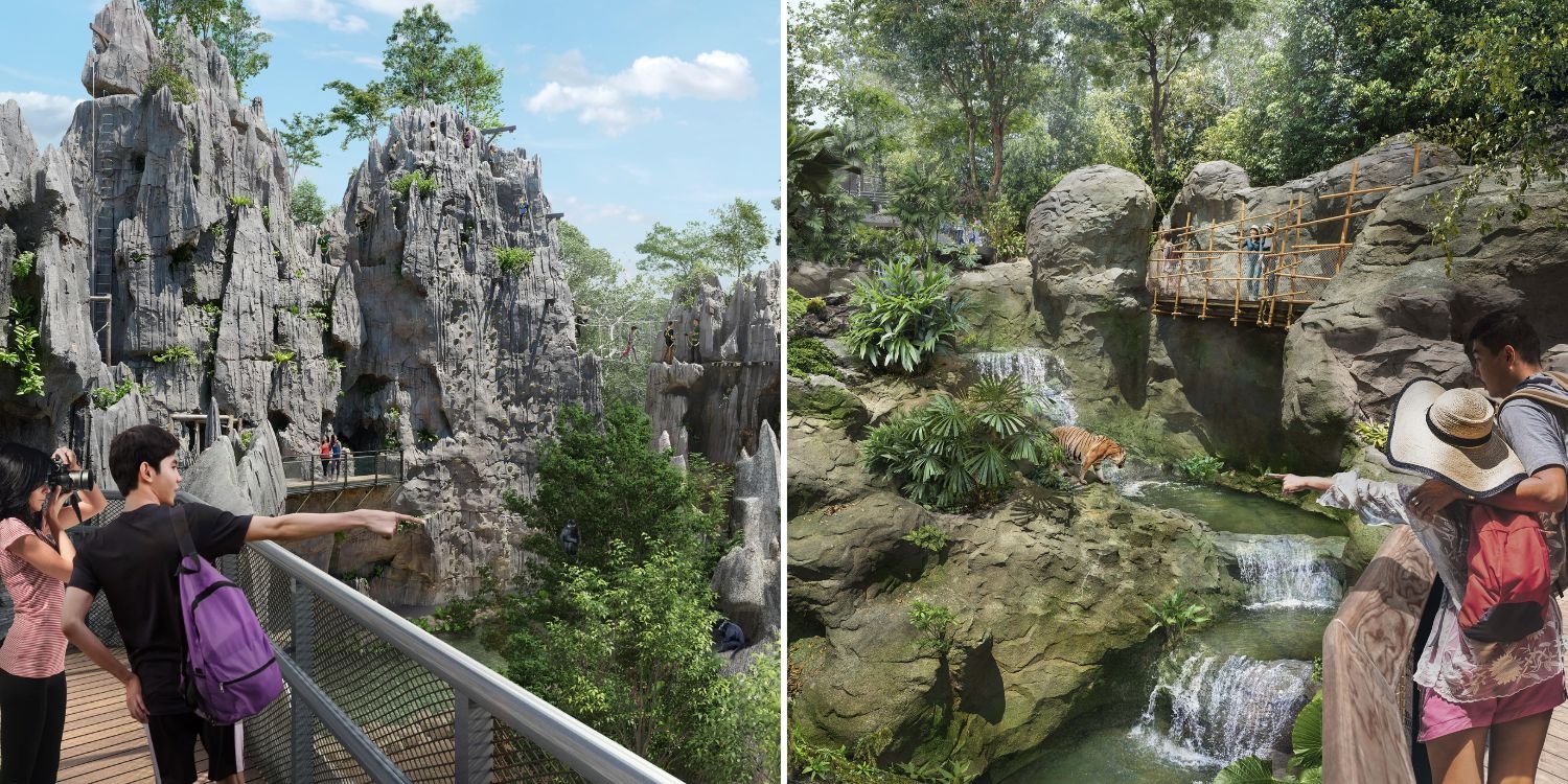 Mandai wildlife Reserve’s new immersive park to open in March 2025, visitors can trek through 13-hectare rainforest & admire wildlife