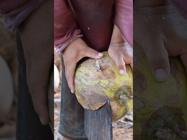 Risky Way To Cut Coconut In Thailand