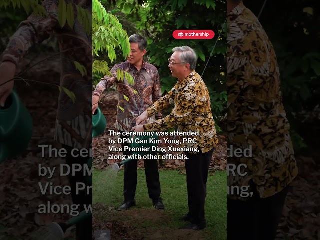 DPM Gan Kim Yong & PRC Vice Premier Ding Xuexiang plants persimmon tree in Singapore Botanic Gardens