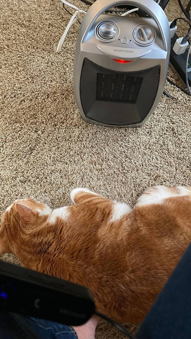 29 Cozy Things To Have So You Can Make The Most Out Of Your Time Indoors This Season