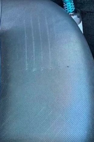 Man dresses up as bear to carry out bizarre attack on car in fake 'insurance claim scam'