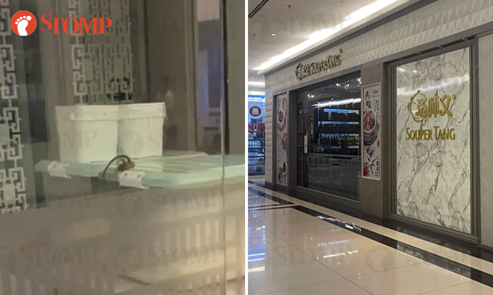 Stomper sees rat scurrying into box of noodles at Souper Tang restaurant at KSL City Mall