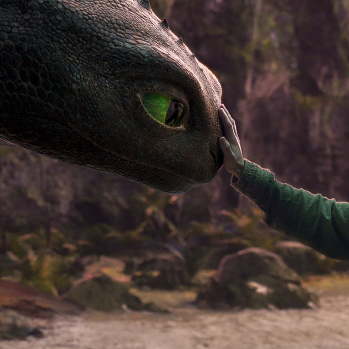 How to Train Your Dragon Live Action Remake Takes Flight in First Teaser Trailer