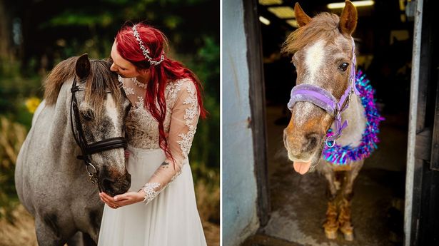 Owner of 'UK's oldest horse' reveals Mars bars are the secret to her long life