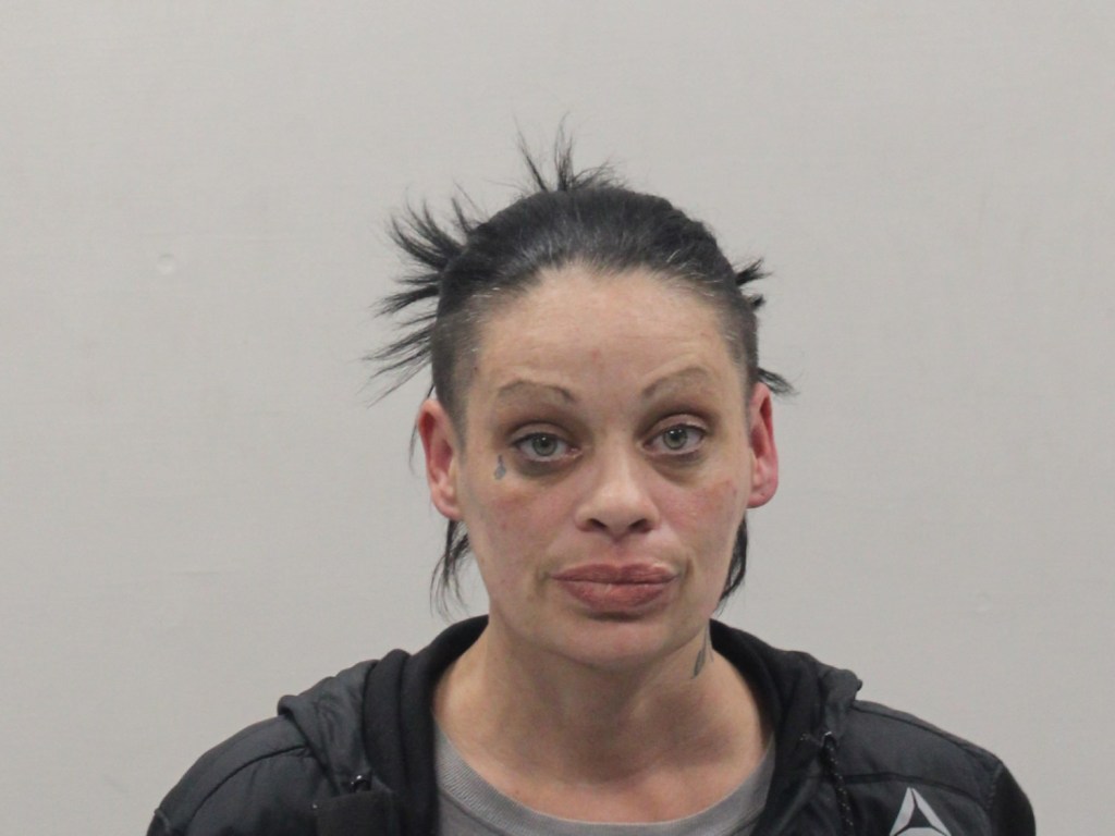 Cape Cod woman arrested after menacing teen golfers with gun — that turned out to be a rubber dummy