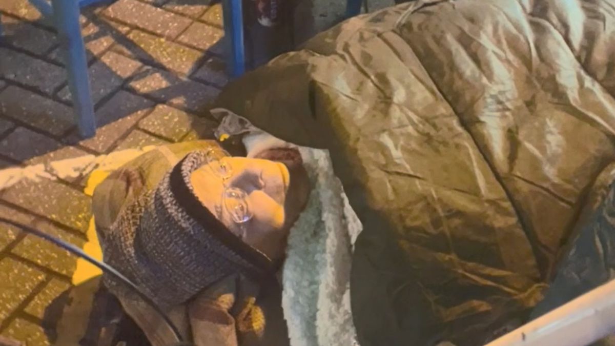 Woman, 95, left lying on cold pavement with broken hip for five hours