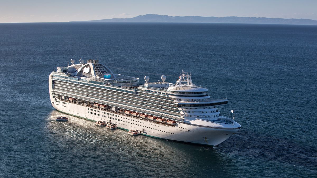 Ruby Princess cruise horror as passenger falls overboard sparking major search