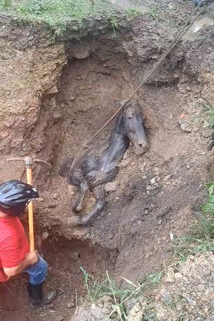 Horse buried alive rescued from mud-filled deathtrap after being spotted by passers-by