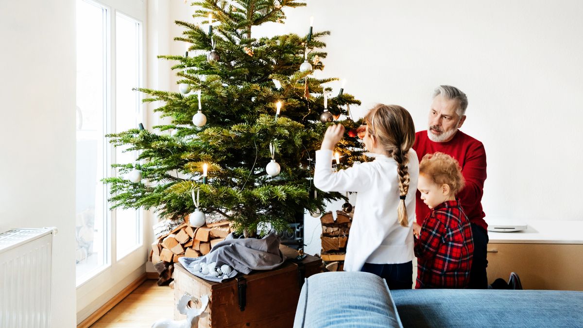 People gobsmacked by electronic Christmas tree which comes with unique feature