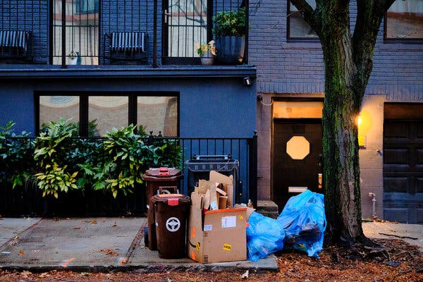 Curbside Composting: What to Do and What Not to Do