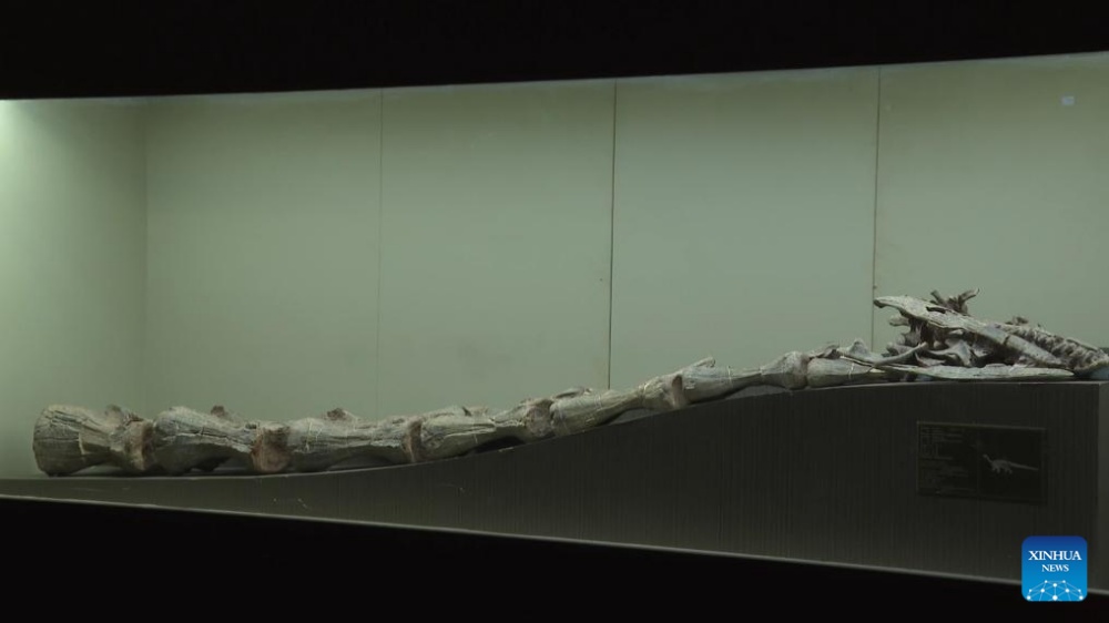 New genus of sauropodomorph dinosaur identified in China’s Yunnan