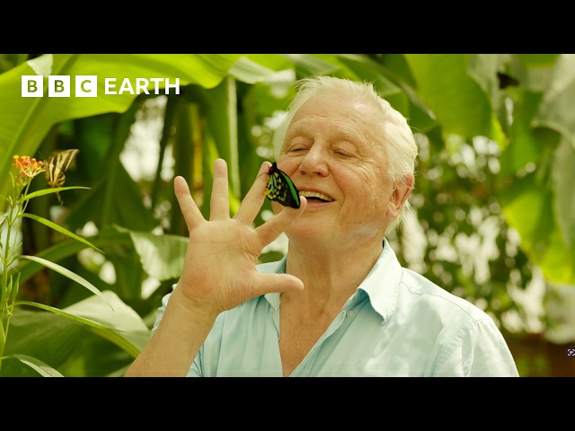 This Is One of David Attenborough's Favourite Animals | Attenborough's Ark | BBC Earth