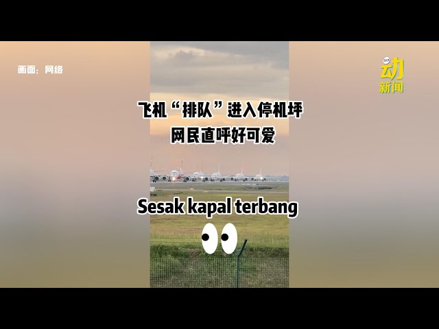 动新闻｜年终假期 机场跑道“大塞机”