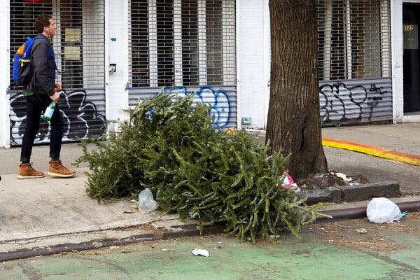 Which Borough Produces the Most Christmas Tree Waste?