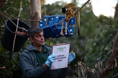 How do you count 10,000 animals? London Zoo has it down to a science